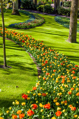 Obraz premium Landscaped Formal Garden. Park. Beautiful Garden.