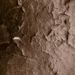 Grunge Background. old wall