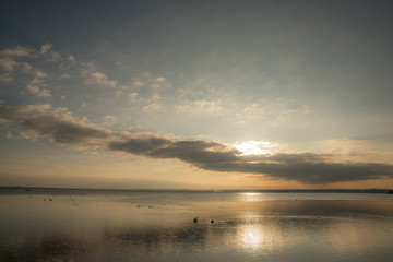 Naklejka premium Seaside II