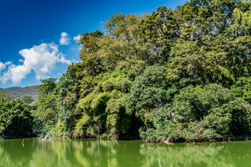 Mountain trees and green lake