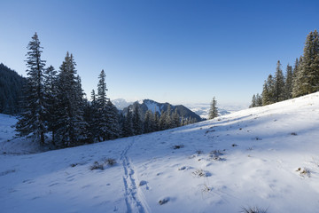 Winter in den Bergen