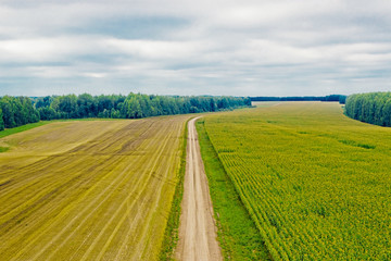 road in the field