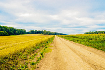 road in the field