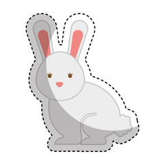 cute rabbit isolated icon vector illustration design
