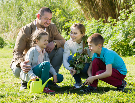 Young Parents With Two Kids Placing A New Tree