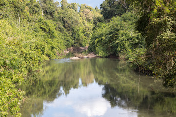 Fototapeta na wymiar River in the rainforest
