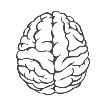 Human brain icon - vector Illustration 