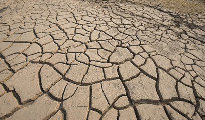 Dry ground surface crack texture 