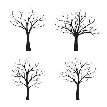 Set Black Trees without Leafs. Vector Illustration.