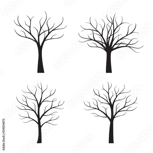 "Set Black Trees without Leafs. Vector Illustration." Stock image and
