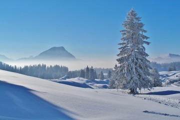 Verschneite Landschaft