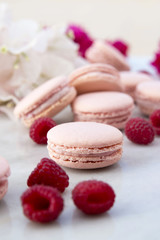 Delicious pink biscuits macaroons