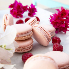 Delicious pink biscuits macaroons on light background with fresh berries raspberry and red flowers. A romantic date. Gift for Valentine's day. Ideal for holiday of international women's day.