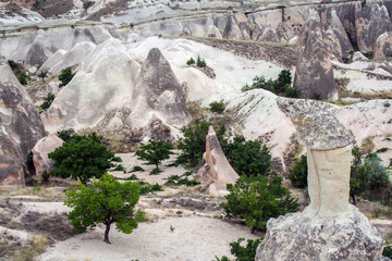 fairy chimneys in Cappadocia , Goreme valley