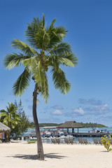 S&uuml;dsee-Moorea-09164