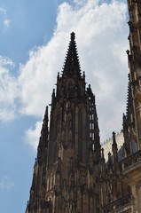 Fototapeta na wymiar The cathedral Saint Vitus in Prague