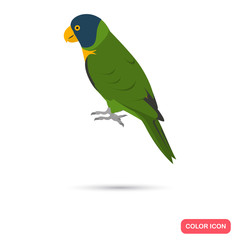 Lory parrot color flat icon for web and mobile design