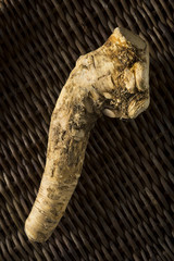 Raw Organic Brown Horseradish Root