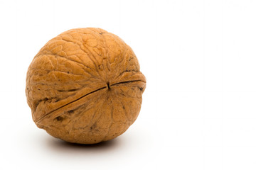 Single walnut on white background