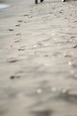 Fototapeta na wymiar Footprints on dark sand