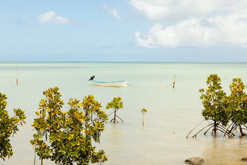 Bateau de pecheur à l'ancre sur l'ile Rodrigues