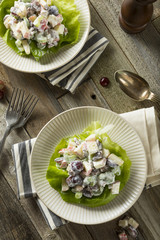 Homemade Fresh Waldorf Salad
