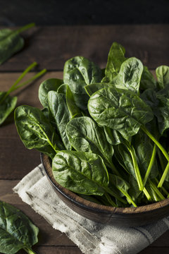 Raw Green Healthy Organic Spinach