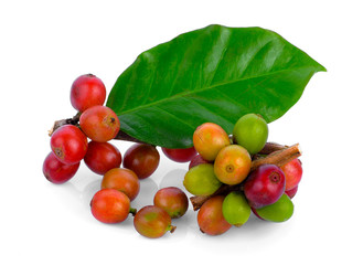 coffee beans and leave isolate on white background