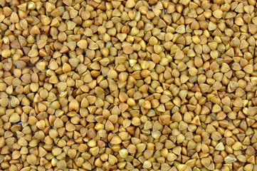 Buckwheat background