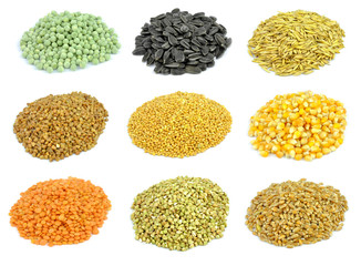 Corn and cereals collection - basic grains and corn