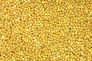 Millet background