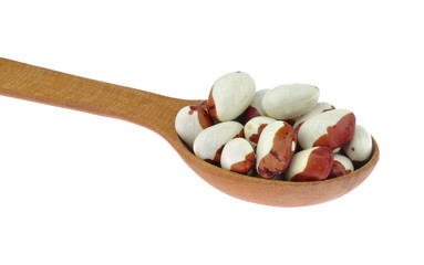 Pinto white pointed beans in wooden spoon