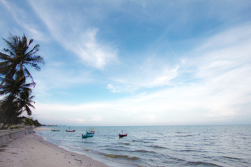 Clear blue sky with sea beach and coconut tree