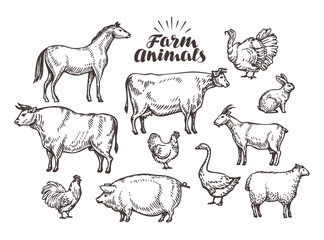 Farm, vector sketch. Collection animals such as horse, cow, bull, sheep, pig, rooster, chicken, hen, goose, rabbit, turkey, goat