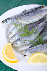 Sardinen