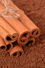 Cinnamon on the background of cocoa