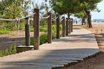 Wooden trail with rope handrail