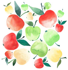 juicy ripe apples red yellow and green colors watercolor sketch