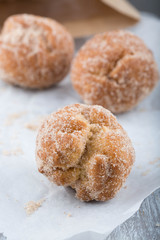 Donut holes  rolled in cinnamon sugar 