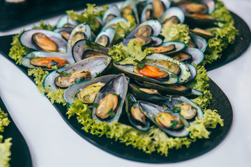 Catering Food Wedding Event Table 
