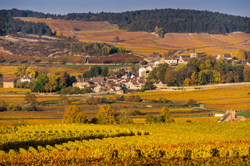 Fototapeta na wymiar Village de Bourgogne