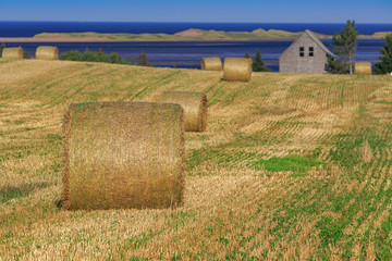 Hay bales in a field along the shore in rural Prince Edward Island, Canada.