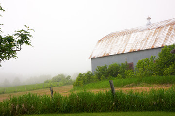 Barn in the Morning Fog