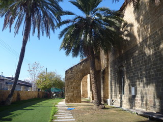 Obraz premium a mosque in nicosia city