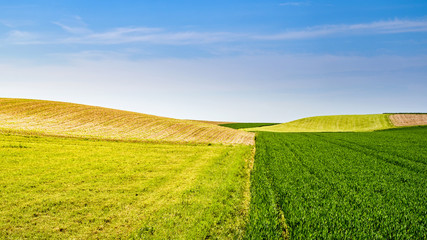 Landwirtschaft, Felder im Frühling, Himmel und Horizont