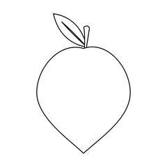 plum fruit icon over white background. vector illustration