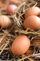 Brown eggs in the straw close-up in a rustic style