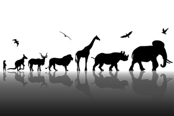 Silhouettes of wild animals with reflections background. Vector illustration