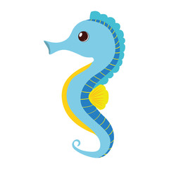 Obraz premium blue sea horse pet aquarium vector illustration eps 10