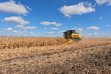 Agricultural landscape cornfield crop corn maize combine